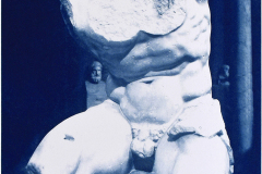 Torso Belvedere (Serie)