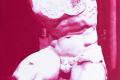 Torso Belvedere (Serie)